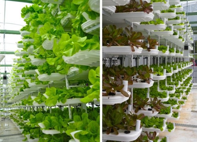 Valcent, Valcent Products, Henry Ford, vertical farming, urban design, urban farming, VertiCrop, green design, sustainable design, eco design, green design, hydroponics, water issues, space issues, energy issues, small footprint