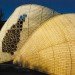 Andrea von Chrismar, Chile, wicker, willow, natural materials, sustainable materials, green materials, natural light, shelter from the sun, green design, eco design, sustainable design, sustainable architecture, wicker, weaving