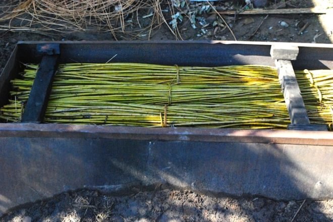 Andrea von Chrismar, Chile, wicker, willow, natural materials, sustainable materials, green materials, natural light, shelter from the sun, green design, eco design, sustainable design, sustainable architecture, wicker, weaving