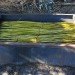 Andrea von Chrismar, Chile, wicker, willow, natural materials, sustainable materials, green materials, natural light, shelter from the sun, green design, eco design, sustainable design, sustainable architecture, wicker, weaving