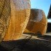 Andrea von Chrismar, Chile, wicker, willow, natural materials, sustainable materials, green materials, natural light, shelter from the sun, green design, eco design, sustainable design, sustainable architecture, wicker, weaving