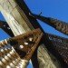 Andrea von Chrismar, Chile, wicker, willow, natural materials, sustainable materials, green materials, natural light, shelter from the sun, green design, eco design, sustainable design, sustainable architecture, wicker, weaving