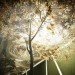 green design, eco design, sustainable design, Delancey Underground, The Low Line, James Ramsey, Trespa Design Center, Dan Barasch, Kickstarter, Sunlight irrigation device, MTA, abandoned train station, Subterranean park