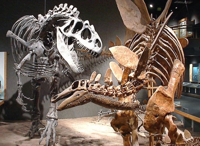 3d printed robots, 3d printed dinosaur robots, dinosaur robots, dinosaur movement, dinosaur replicas, paleontologists, paleontology, innovation in paleontology, drexel university, 3d printing, 3d printer, 3d printing technology