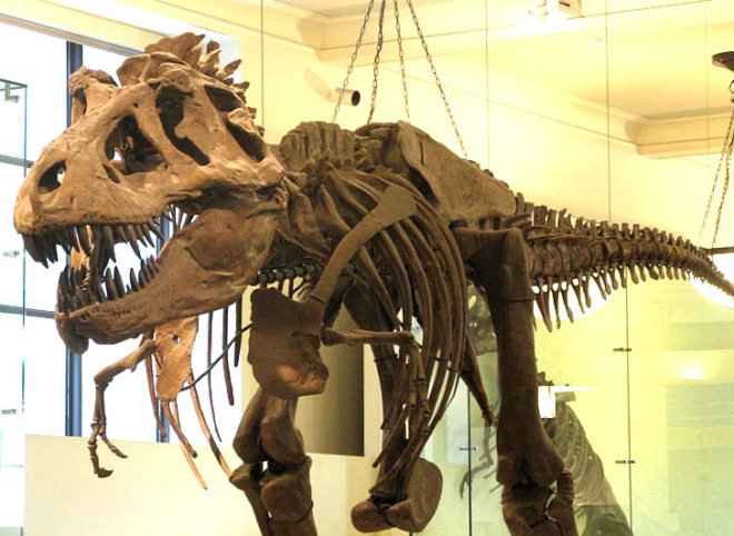 3d printed robots, 3d printed dinosaur robots, dinosaur robots, dinosaur movement, dinosaur replicas, paleontologists, paleontology, innovation in paleontology, drexel university, 3d printing, 3d printer, 3d printing technology