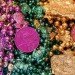 Mardi Gras, eco-friendly Mardi Gras, mardi gras throws