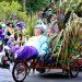 Mardi Gras, eco-friendly Mardi Gras, mardi gras bike, bike, bicycle, Mardi Gras transportation