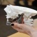 83 year old, titanium jaw, 3d printing, 3d printer, 3d medical printer, medical printing, printing bones, 3d printing bones, 3d printing for medical use, 3d print, jaw replacement, metal jaw replacement, metal jaw