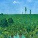 Pangea, ancient forest, Wuda China, preserved forest, ancient forest, 298 million year old forest, Herman Pfefferkorn, University of Pennsylvania, Proceedings of the National Academy of Scientists, Sigillaria, Cordaites, Noeggerthiales, Permian Era