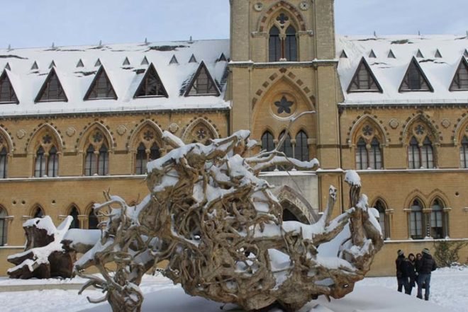 art, global warming, Botanical, Green Resources, Angela Palmer, Ghost Forest, public installation, mobile installation, Pitt Rivers Museum, Oxford University Museum of Natural History, UN's Climate Change Conference, Copenhagen, London, Trafalgar Square, Rainforest Tree Stumps, climate change, deforestation awareness
