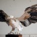 art, Recycling / Compost, Anna-Wili Highfield, sydney art, australian artist, animal paper sculptures, paper sculptures, biodegradable paper, recyclable paper, ephemeral art
