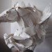 art, Recycling / Compost, Anna-Wili Highfield, sydney art, australian artist, animal paper sculptures, paper sculptures, biodegradable paper, recyclable paper, ephemeral art
