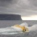 Aquamarine Power, Wave Energy, Oyster Device, Scotland, 2012, Energy Minister