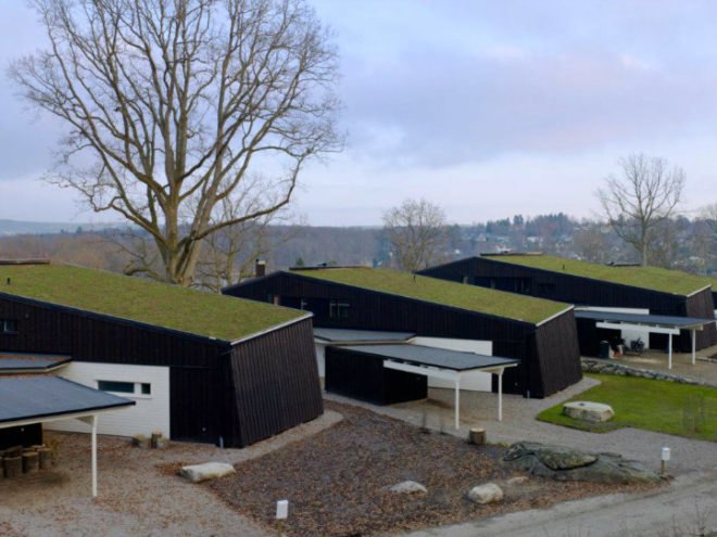 Arlevagen, Helhetshus, green roof, sedum roof, sweden, affordable housing, energy efficient housing