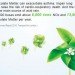 shenzhen china, shenzhen, byd, electric vehicles, electric cars, electric automobiles, green vehicles, green cars, green transportation, electric vehicle fleet, largest electric vehicle fleet, byd electric busses