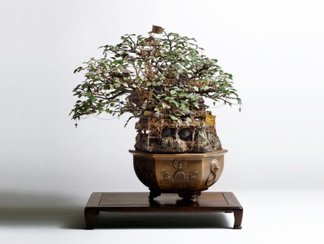 green design, eco design, sustainable design, bonsai tree, Takanori Aiba, Bonsai castles, bonsai diorama, terrarium, house plant