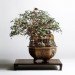 green design, eco design, sustainable design, bonsai tree, Takanori Aiba, Bonsai castles, bonsai diorama, terrarium, house plant