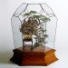 green design, eco design, sustainable design, bonsai tree, Takanori Aiba, Bonsai castles, bonsai diorama, terrarium, house plant