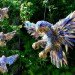 CD Animal Sculptures, Sean Avery, old cds, cds, cd sculptures, recycled materials, animal sculptures, eco art
