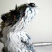 CD Animal Sculptures, Sean Avery, old cds, cds, cd sculptures, recycled materials, animal sculptures, eco art