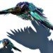 CD Animal Sculptures, Sean Avery, old cds, cds, cd sculptures, recycled materials, animal sculptures, eco art
