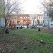 green design, eco design, sustainable design, 596 Acres, community garden, reclaimed space, vacant lots, Center for the Study of Brooklyn