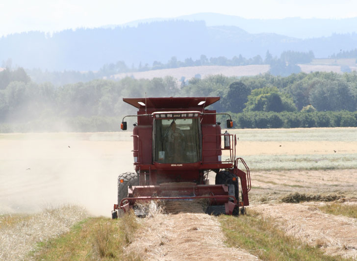 monsanto, monsanto genetically modified foods, genetically modified foods, monsanto gmo, monsanto seeds, monsanto fda, monsanto government ties, corporate ties, fda corporate ties