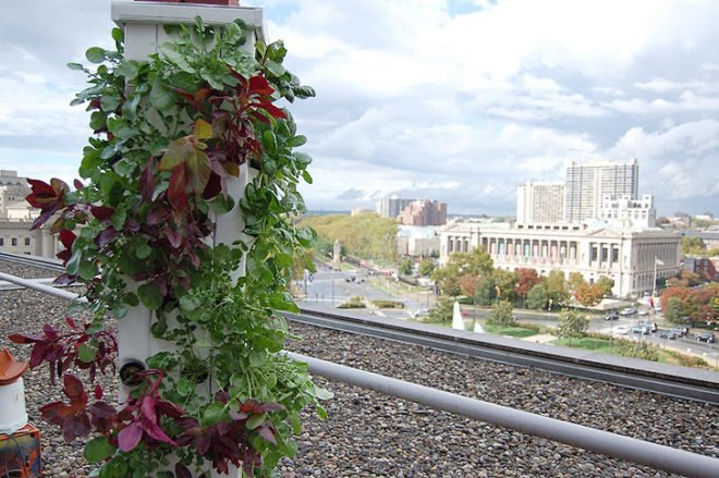 green design, eco design, sustainable design, hydroponic garden, vertical garden, hydroponic farming, Kickstarter, Garden Up, home garden, local food, sustainable food