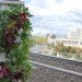 green design, eco design, sustainable design, hydroponic garden, vertical garden, hydroponic farming, Kickstarter, Garden Up, home garden, local food, sustainable food