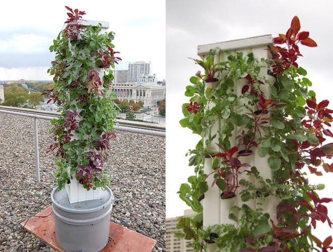 green design, eco design, sustainable design, hydroponic garden, vertical garden, hydroponic farming, Kickstarter, Garden Up, home garden, local food, sustainable food