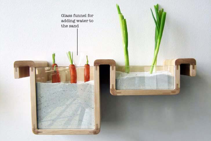Botanical, Green Products, Zero energy, Design for Health, Green Kitchen, Sustainable Food, Jihyun Ryou, Save Food From The Fridge, low-tech, food containers, fridge free, storing vegetables, traditional knowledge, no electricity, sustainable food