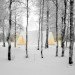 UPM, lilja, sustainable design, temporary meditation centrer, finnish design, prefab structure, plywood design, green building design, transportable chapel finland