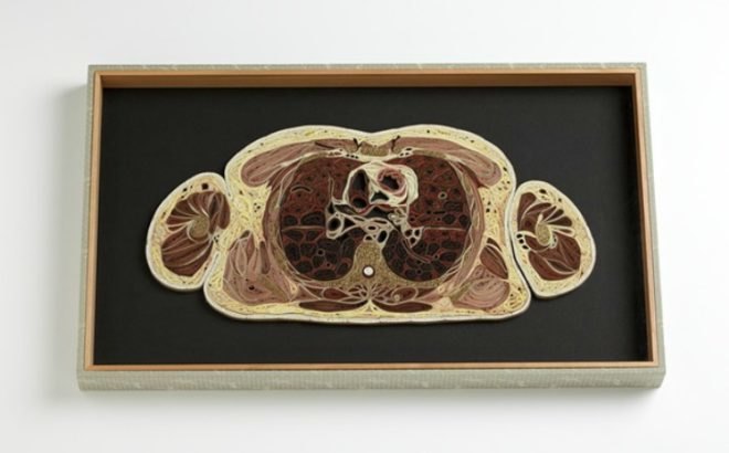 Lisa Nilsson, tissue series, paper art, green art, anatomy paper sculptures, cross-section art, japanese mulberry paper art