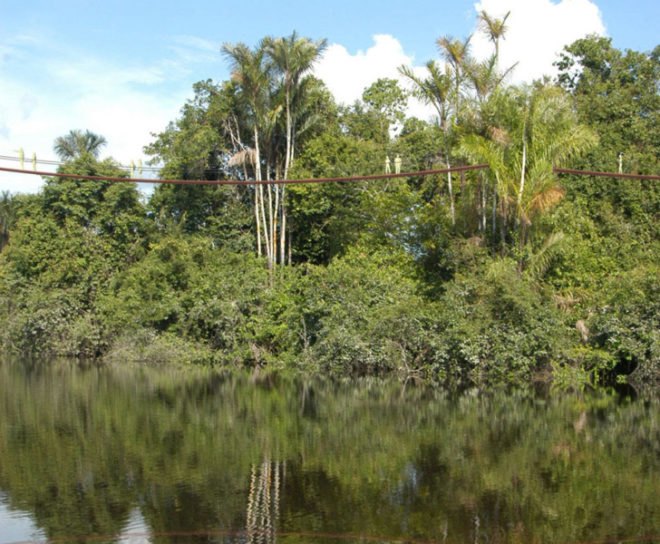 Marks Barfield Architects, bamboo architecture, bamboo treehouse, amazon treehouse, sustainable design, green design, green architecture, rainforest research, solar power, green rainforest architecture, amazon rainforest, ecotourism