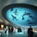 Miami Science Museum, Grimshaw, miami, living building, eco museum, MSM, museum