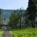Ningbo History Museum, Wang Shu, eco museum, rubble, recycled materials, eco museum, china