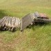 simple shelter texas, reclaimed wood cabin, reclaimed wood, recycled materials, small space living, eco cabin