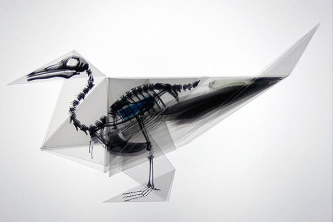 Art, Green Materials, Recycling / Compost, Takayuki Hori, X-ray Origami, trasluscent Origami, Endangered Species, ephemeral art, recyclable paper, biodegradable paper, paper art, paper sculpture, Japanese art, japanese design, origami, origami animals, Oritsunagumono, Mitsubishi Chemical Junior Designer Award
