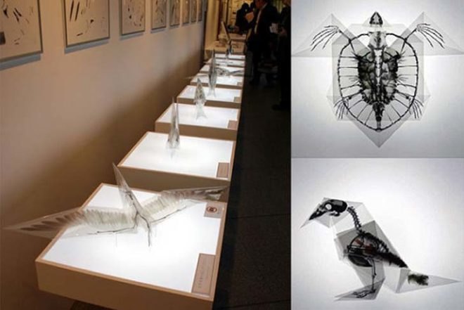 Art, Green Materials, Recycling / Compost, Takayuki Hori, X-ray Origami, trasluscent Origami, Endangered Species, ephemeral art, recyclable paper, biodegradable paper, paper art, paper sculpture, Japanese art, japanese design, origami, origami animals, Oritsunagumono, Mitsubishi Chemical Junior Designer Award