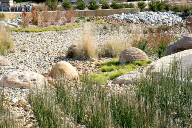 The Green at College Park, UT at Arlington, sustainable sites initiative, sustainable landscape, SITES, green landscape