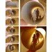 Toilet Paper Art, Anastassia Elias, eco art, recycled art, sustainable art, toilet paper rolls, recycled materials