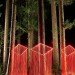green design, eco design, sustainable design, Trevor Williams, Fiz-iks, Light painting, light graffiti, light sculpture, light painting photographs