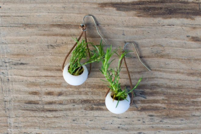 Wearable Planters, 3d printing, colleen jordan, wearable plants, gardening,