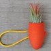 Wearable Planters, 3d printing, colleen jordan, wearable plants, gardening,