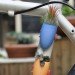Wearable Planters, 3d printing, colleen jordan, wearable plants, gardening,