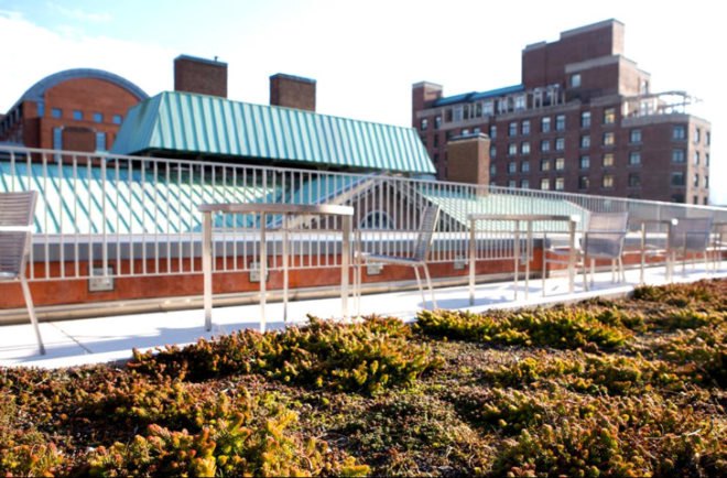 green design, eco design, sustainable design, New York University, Wilf Hall, LEED Platinum Certification, Provincetown Playhouse, green roof, roof terrace, green transportation