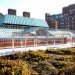 green design, eco design, sustainable design, New York University, Wilf Hall, LEED Platinum Certification, Provincetown Playhouse, green roof, roof terrace, green transportation
