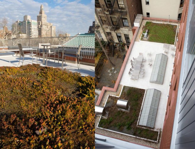 green design, eco design, sustainable design, New York University, Wilf Hall, LEED Platinum Certification, Provincetown Playhouse, green roof, roof terrace, green transportation