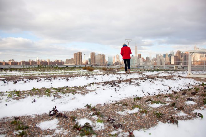 Wilder Quarterly, Wilder Quarterly magazine, Wilder Quarterly brooklyn, brooklyn based gardening magazine, contemporary gardening magazine, wilder quarterly discount, wilder quarterly discount code