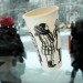 green design, eco design, sustainable design, Cheryl McGinnis, Flatiron Building, Flatiron Arts Space, Gwyneth Leech, Upcycled paper cups, public art installation, Sprint Art Space